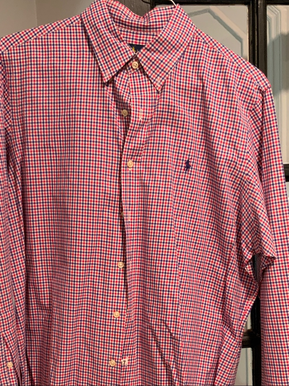Polo by Ralph Lauren Red and Blue Gingham Button-Down Shirt